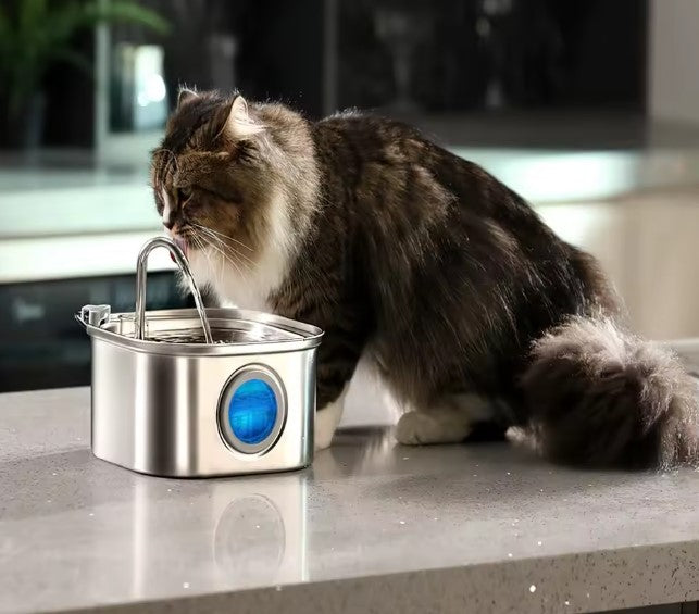 3.2L Smart Stainless Steel Pet Water Fountain – Automatic Cat & Dog Water Dispenser with Visible Water Level, Quiet Pump & Hygienic Drinking Bowl